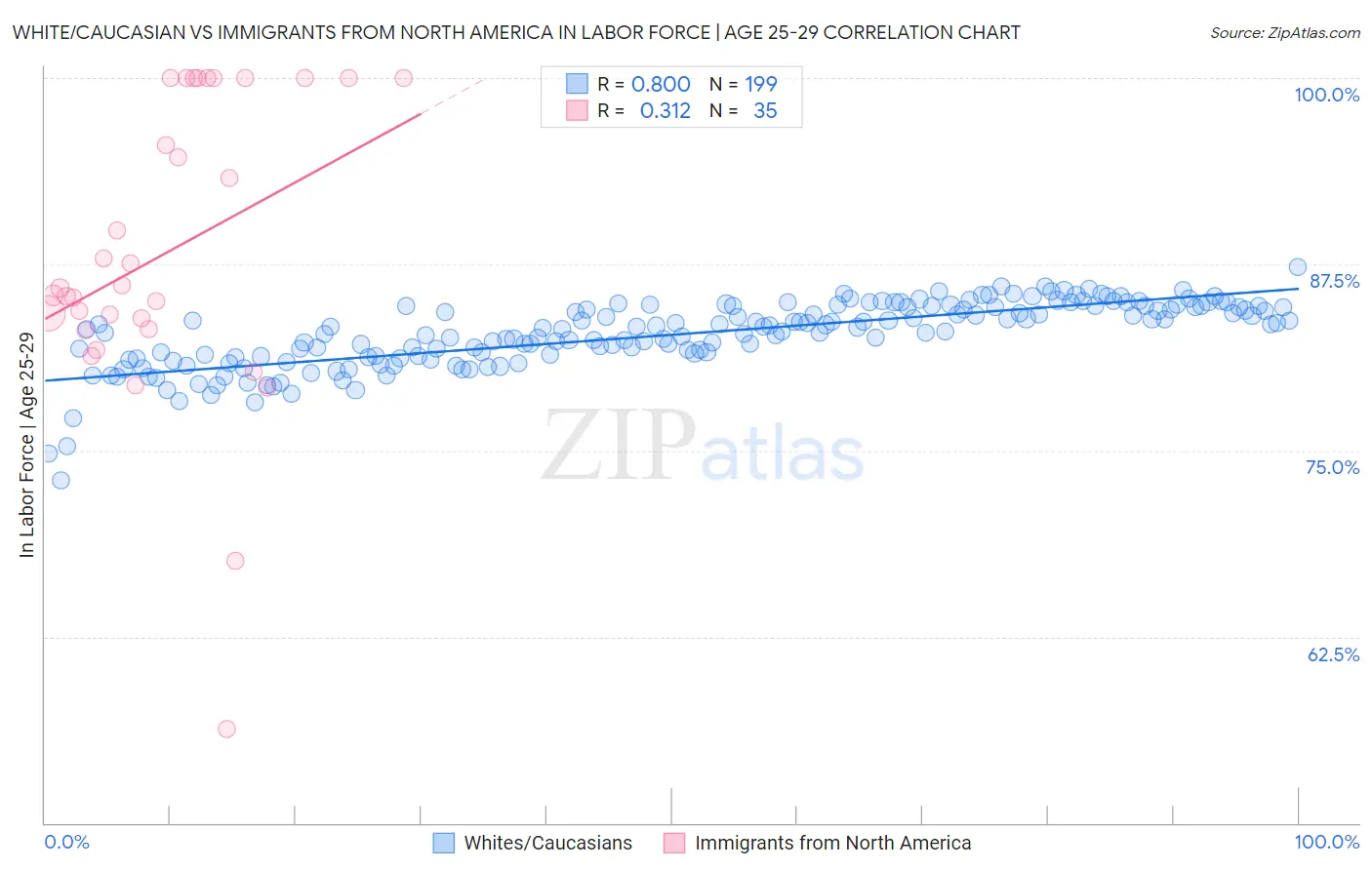 White/Caucasian vs Immigrants from North America In Labor Force | Age 25-29