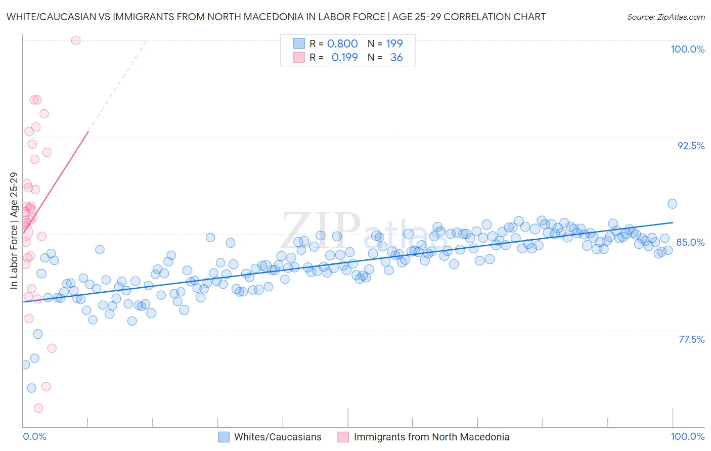 White/Caucasian vs Immigrants from North Macedonia In Labor Force | Age 25-29
