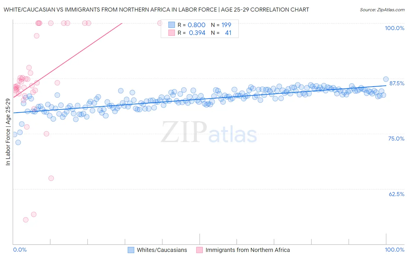 White/Caucasian vs Immigrants from Northern Africa In Labor Force | Age 25-29