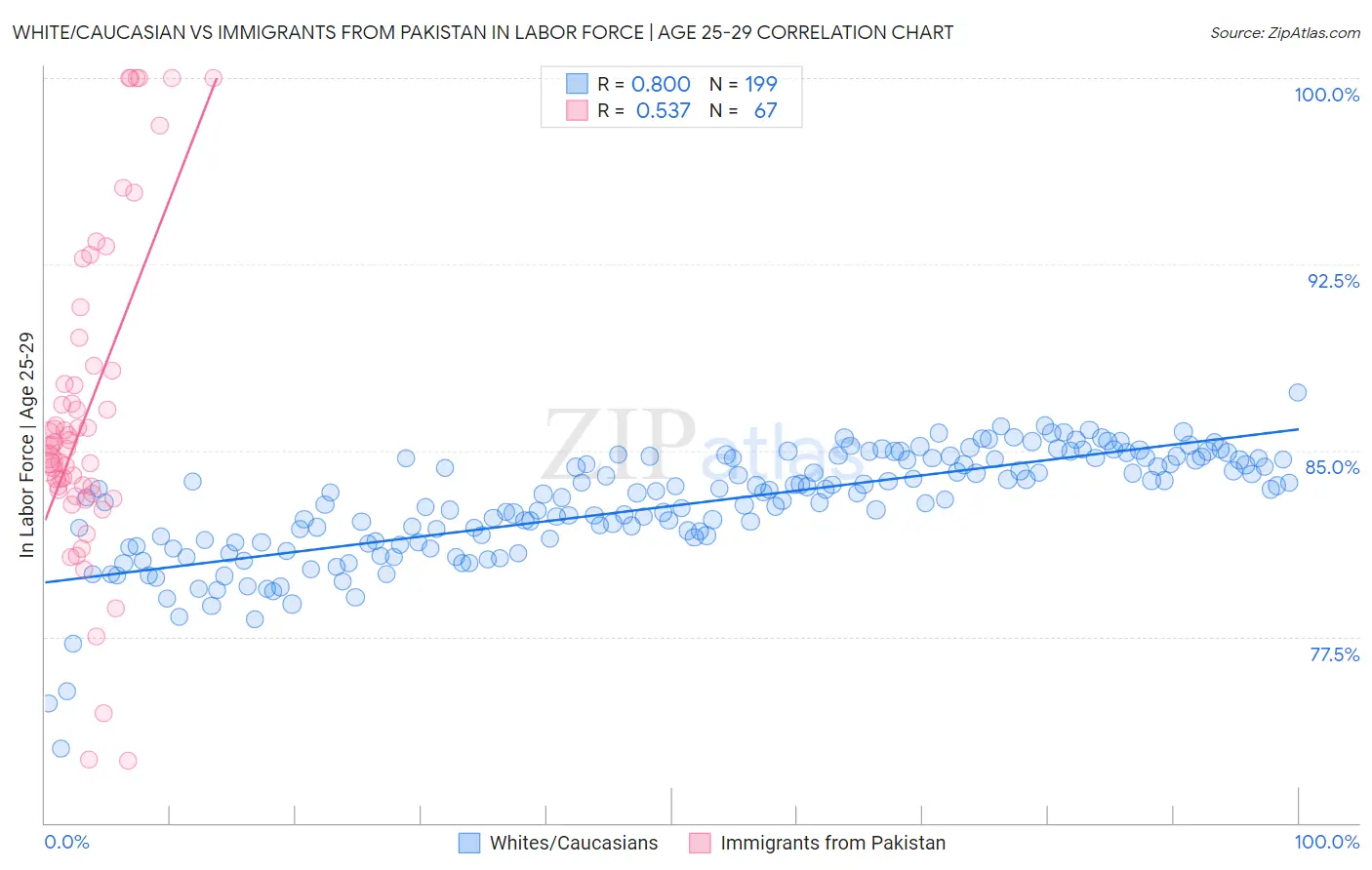 White/Caucasian vs Immigrants from Pakistan In Labor Force | Age 25-29
