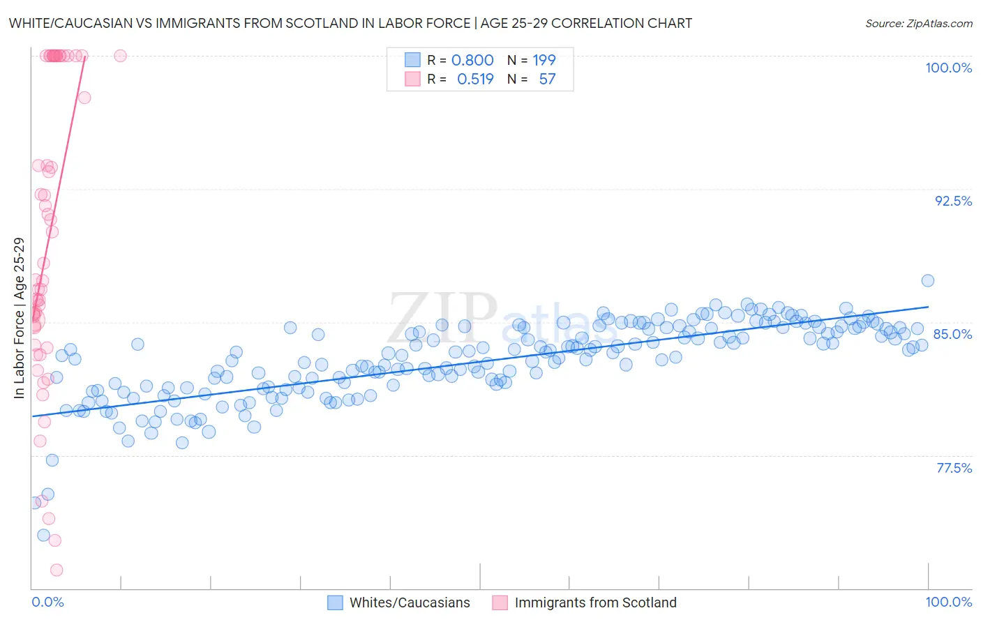 White/Caucasian vs Immigrants from Scotland In Labor Force | Age 25-29