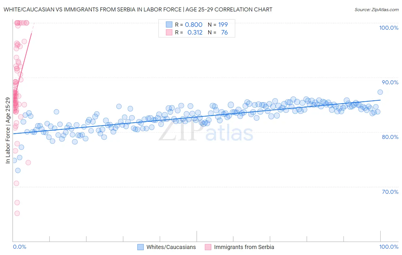 White/Caucasian vs Immigrants from Serbia In Labor Force | Age 25-29