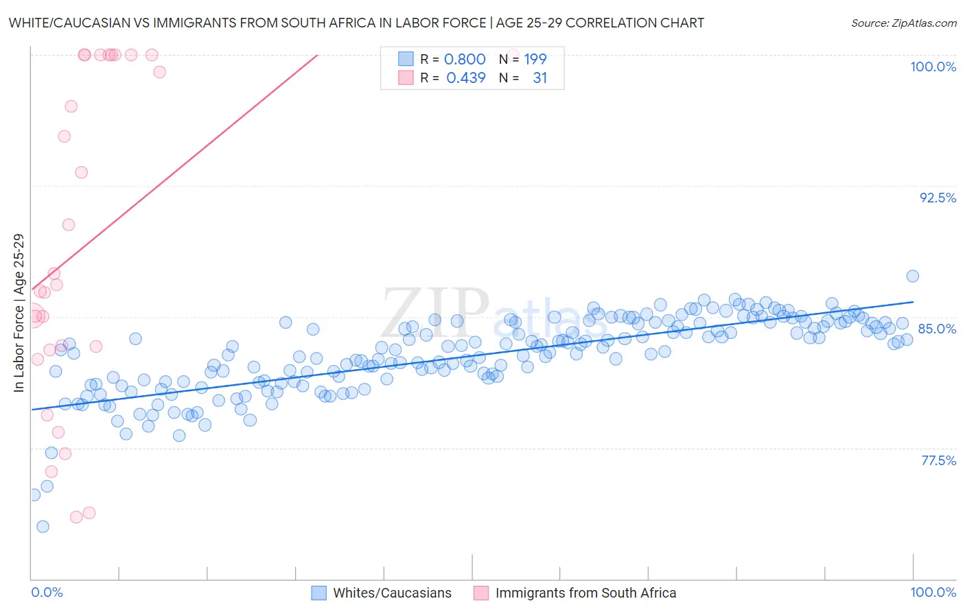 White/Caucasian vs Immigrants from South Africa In Labor Force | Age 25-29