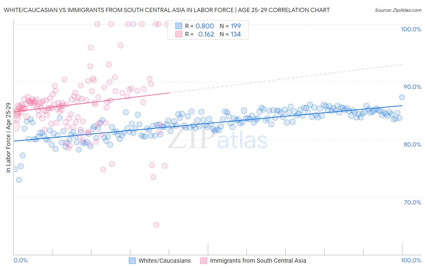 White/Caucasian vs Immigrants from South Central Asia In Labor Force | Age 25-29