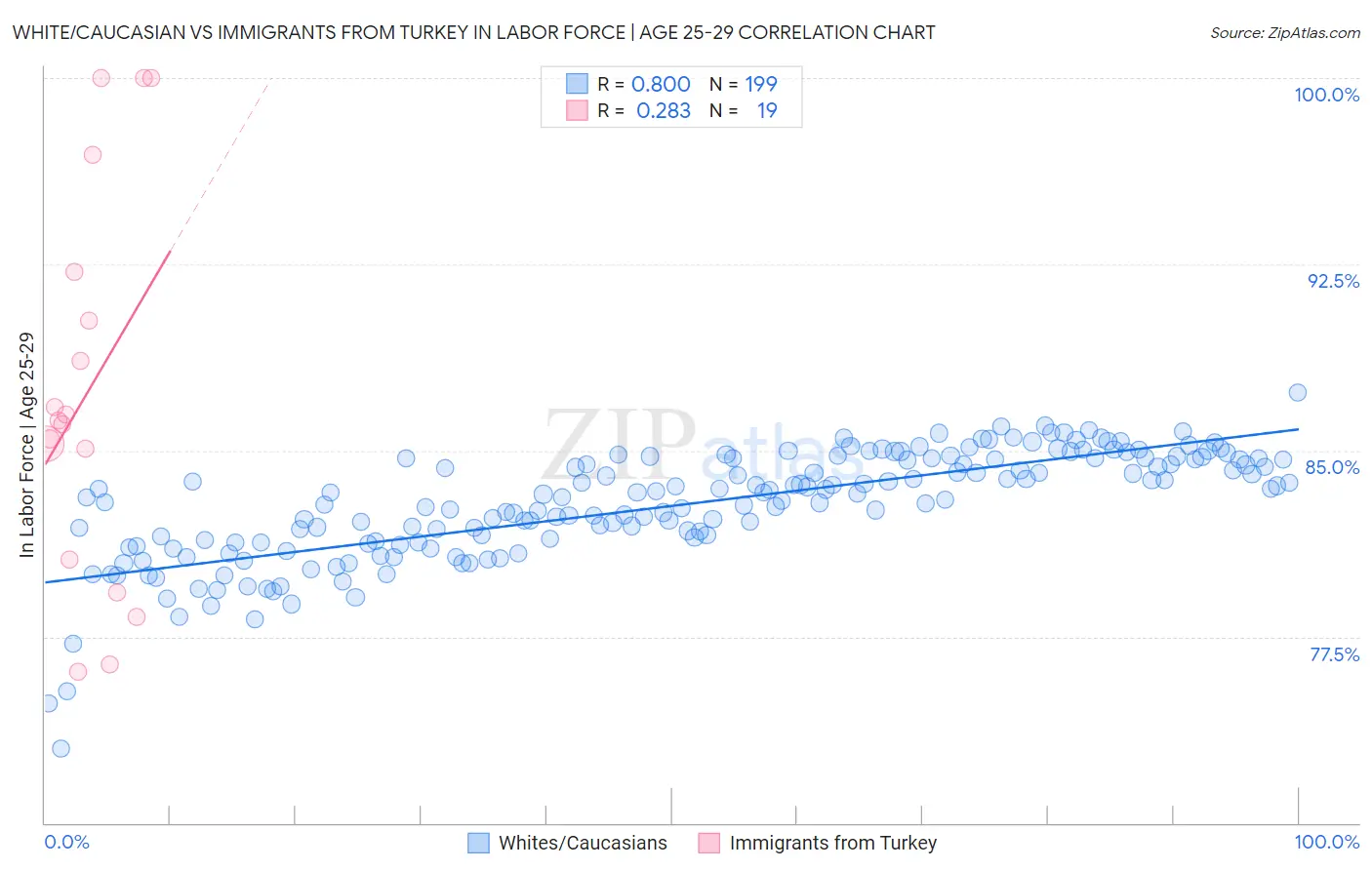 White/Caucasian vs Immigrants from Turkey In Labor Force | Age 25-29