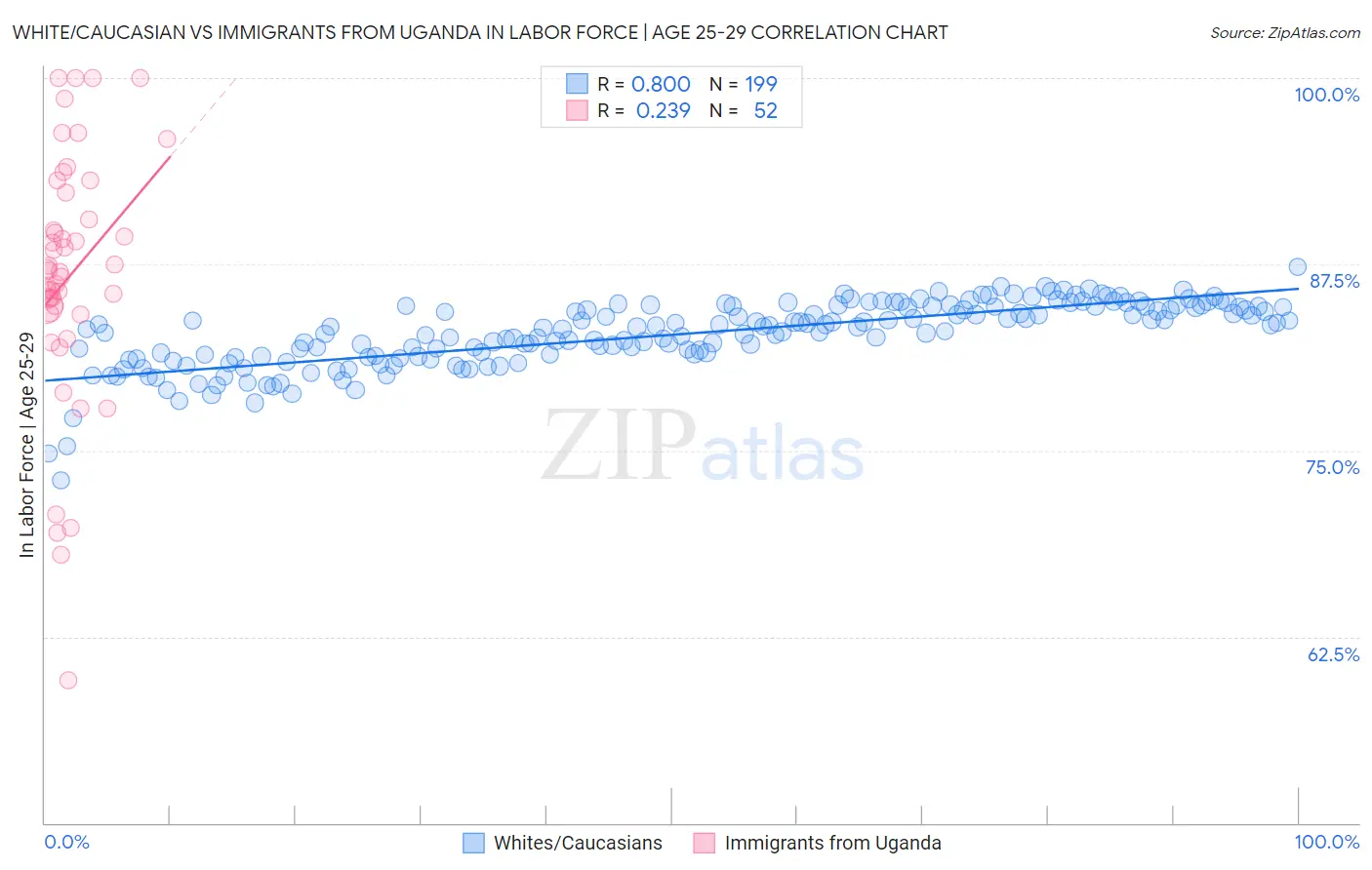White/Caucasian vs Immigrants from Uganda In Labor Force | Age 25-29