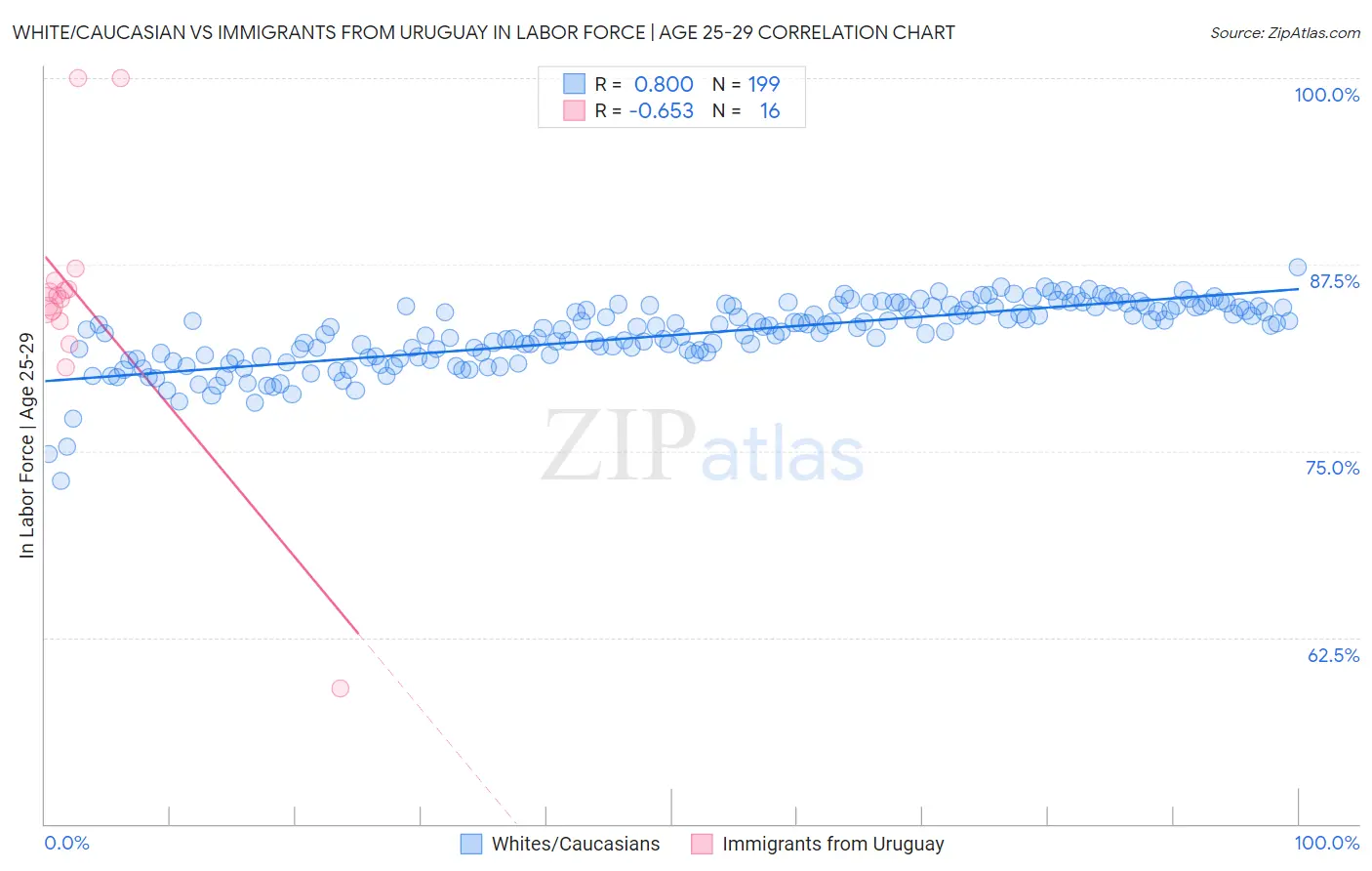 White/Caucasian vs Immigrants from Uruguay In Labor Force | Age 25-29