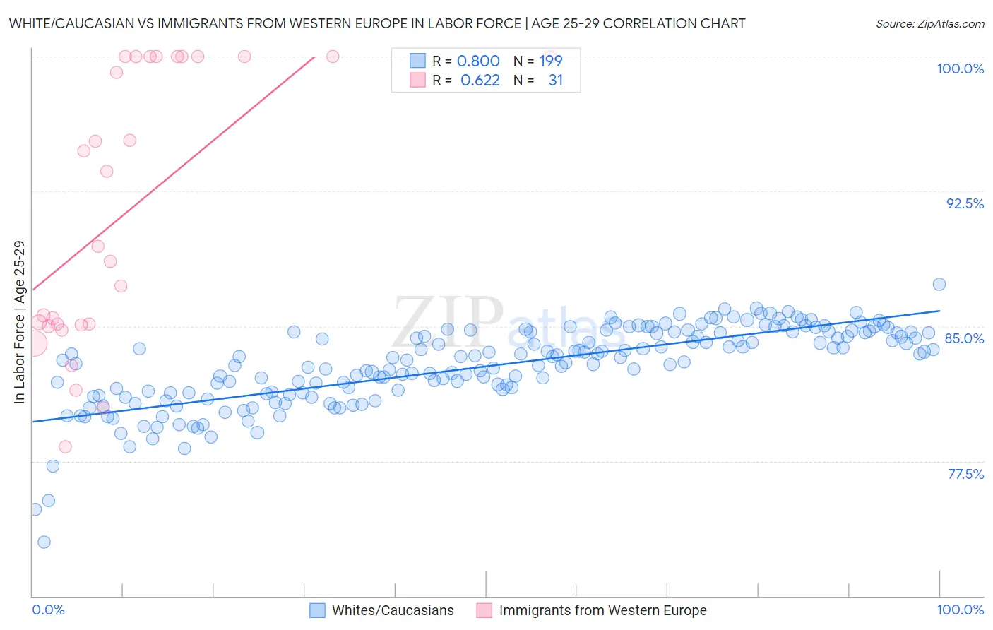 White/Caucasian vs Immigrants from Western Europe In Labor Force | Age 25-29