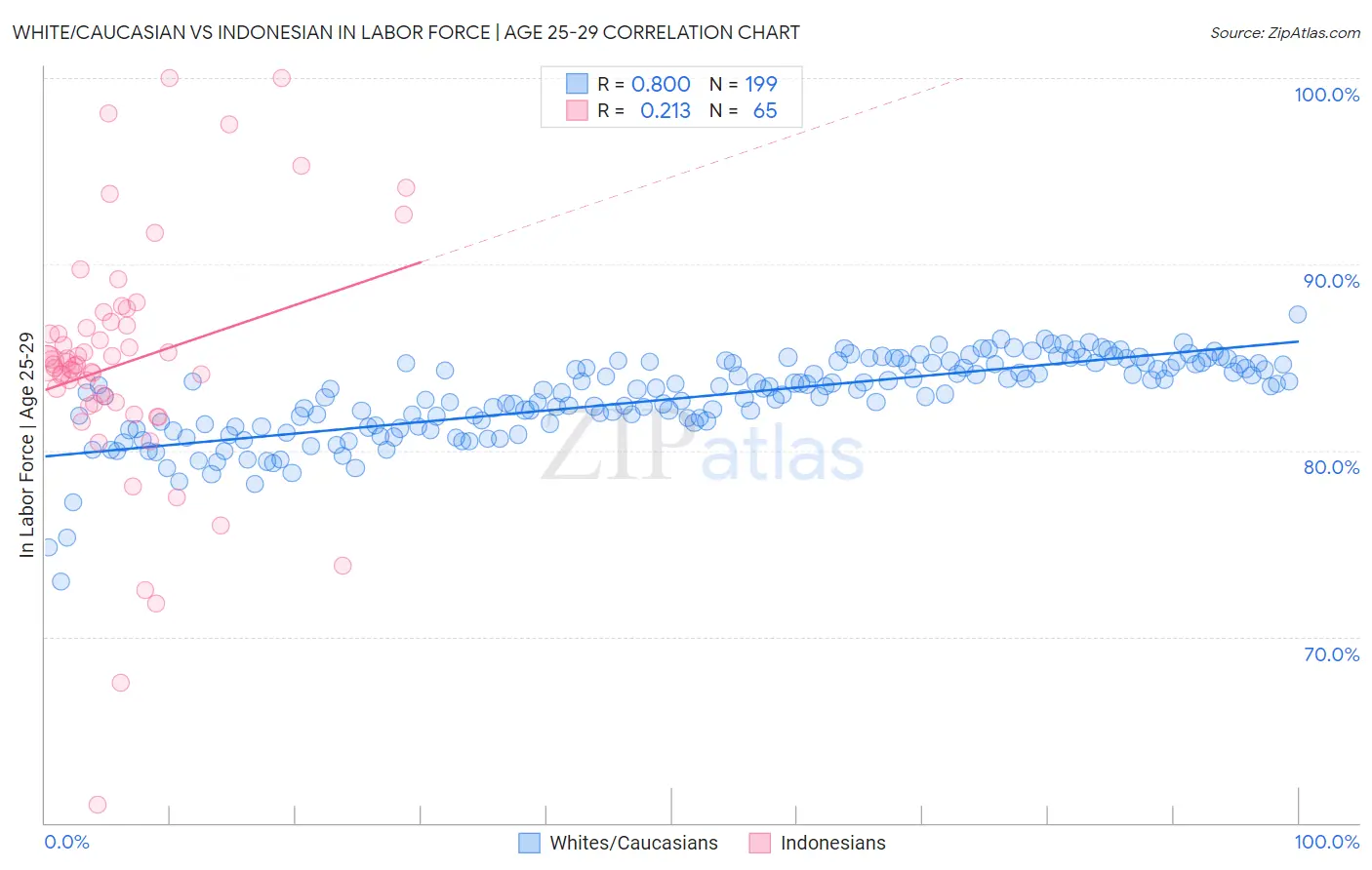 White/Caucasian vs Indonesian In Labor Force | Age 25-29