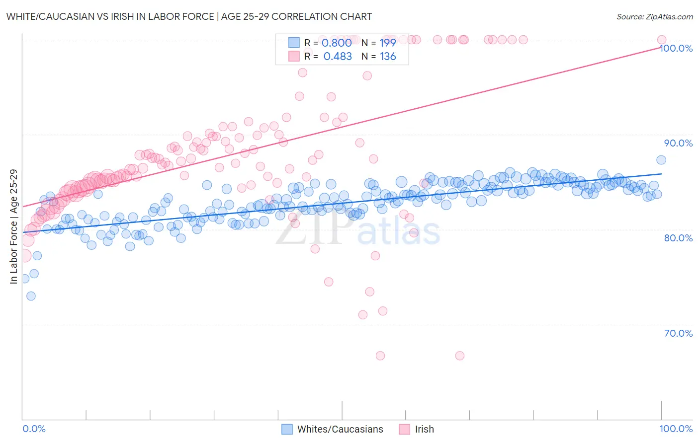 White/Caucasian vs Irish In Labor Force | Age 25-29