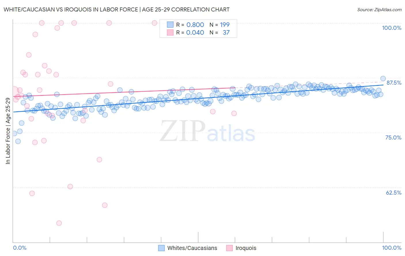 White/Caucasian vs Iroquois In Labor Force | Age 25-29