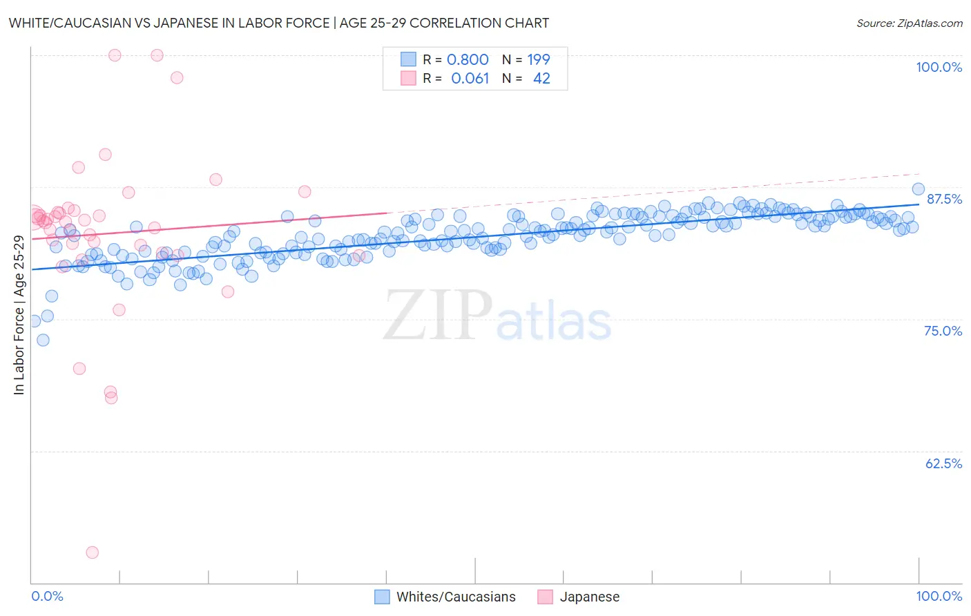 White/Caucasian vs Japanese In Labor Force | Age 25-29
