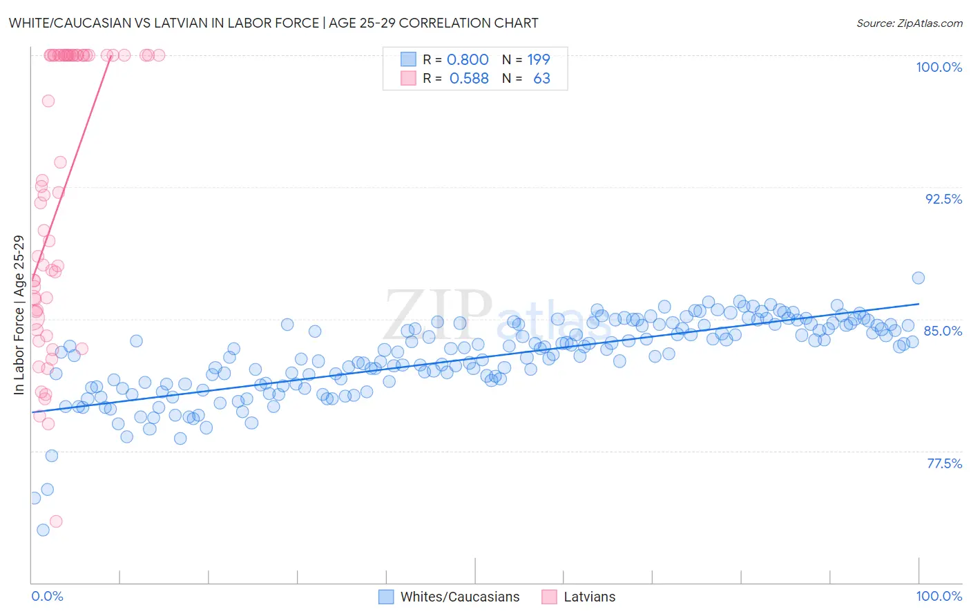 White/Caucasian vs Latvian In Labor Force | Age 25-29