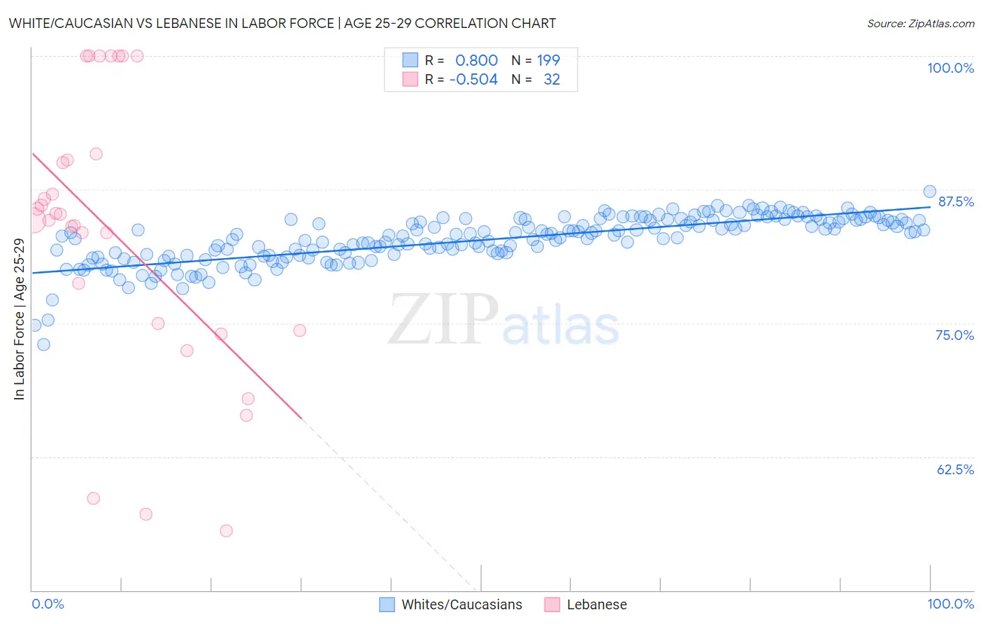 White/Caucasian vs Lebanese In Labor Force | Age 25-29