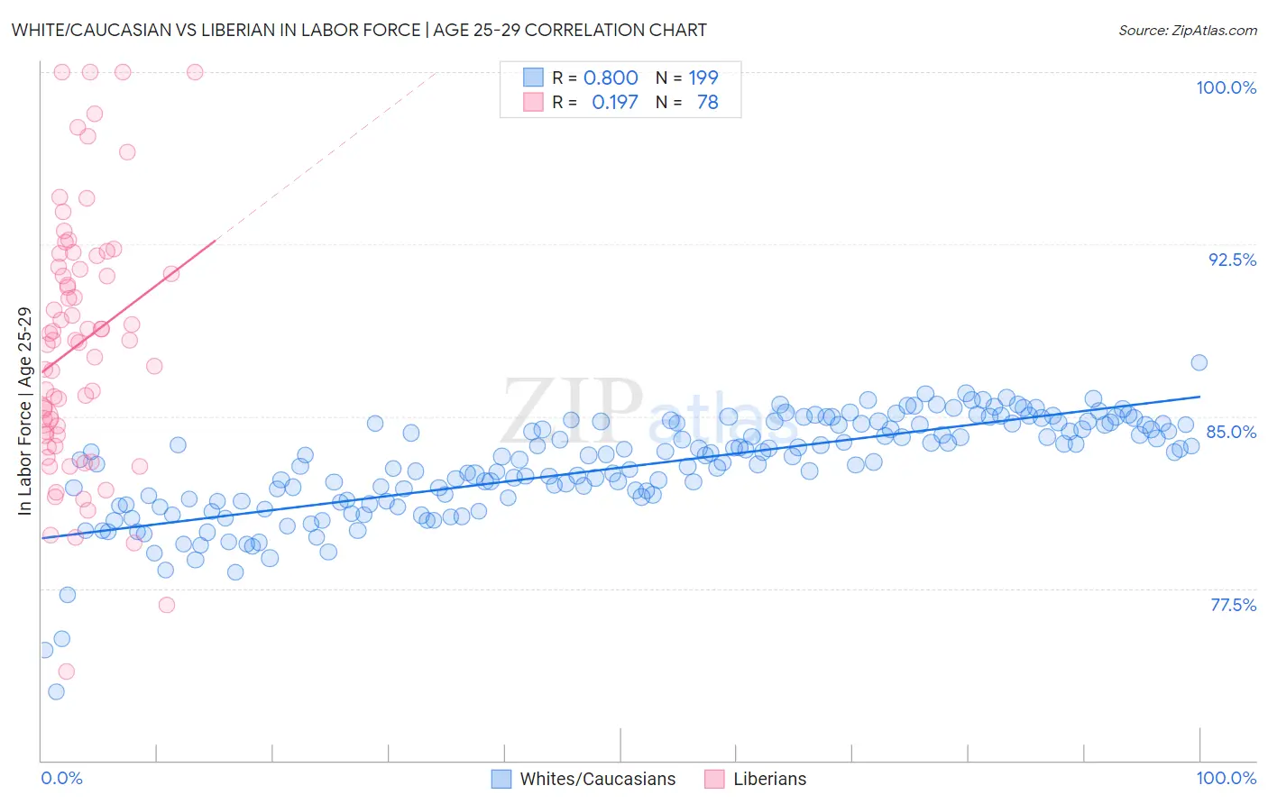 White/Caucasian vs Liberian In Labor Force | Age 25-29