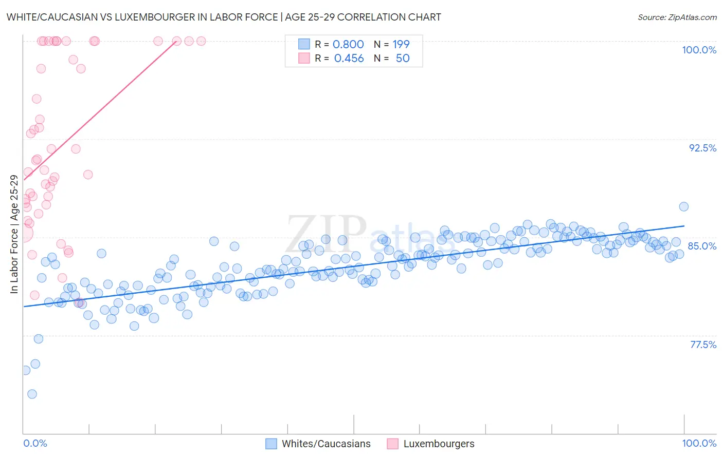 White/Caucasian vs Luxembourger In Labor Force | Age 25-29