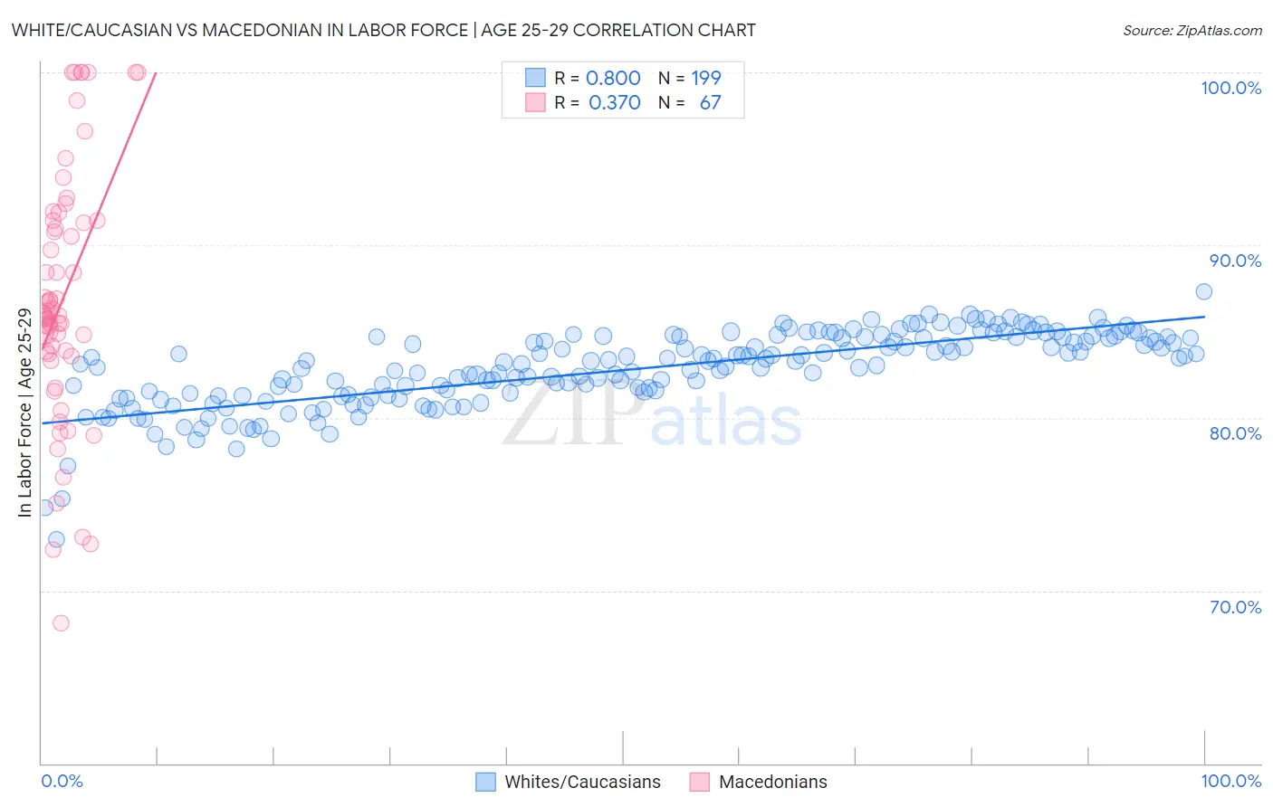 White/Caucasian vs Macedonian In Labor Force | Age 25-29