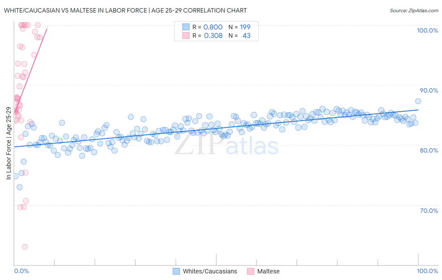 White/Caucasian vs Maltese In Labor Force | Age 25-29