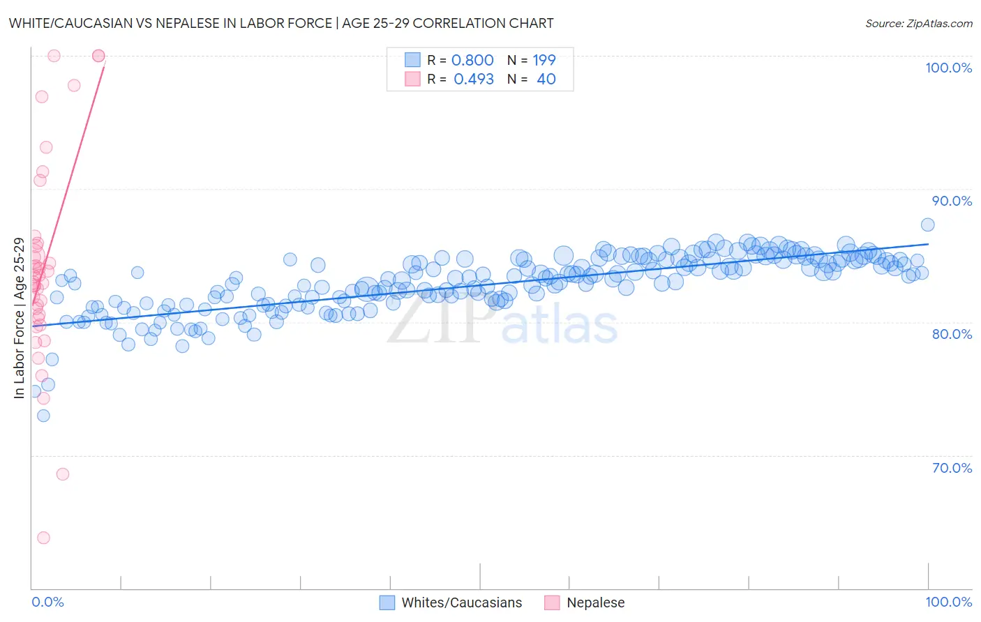 White/Caucasian vs Nepalese In Labor Force | Age 25-29