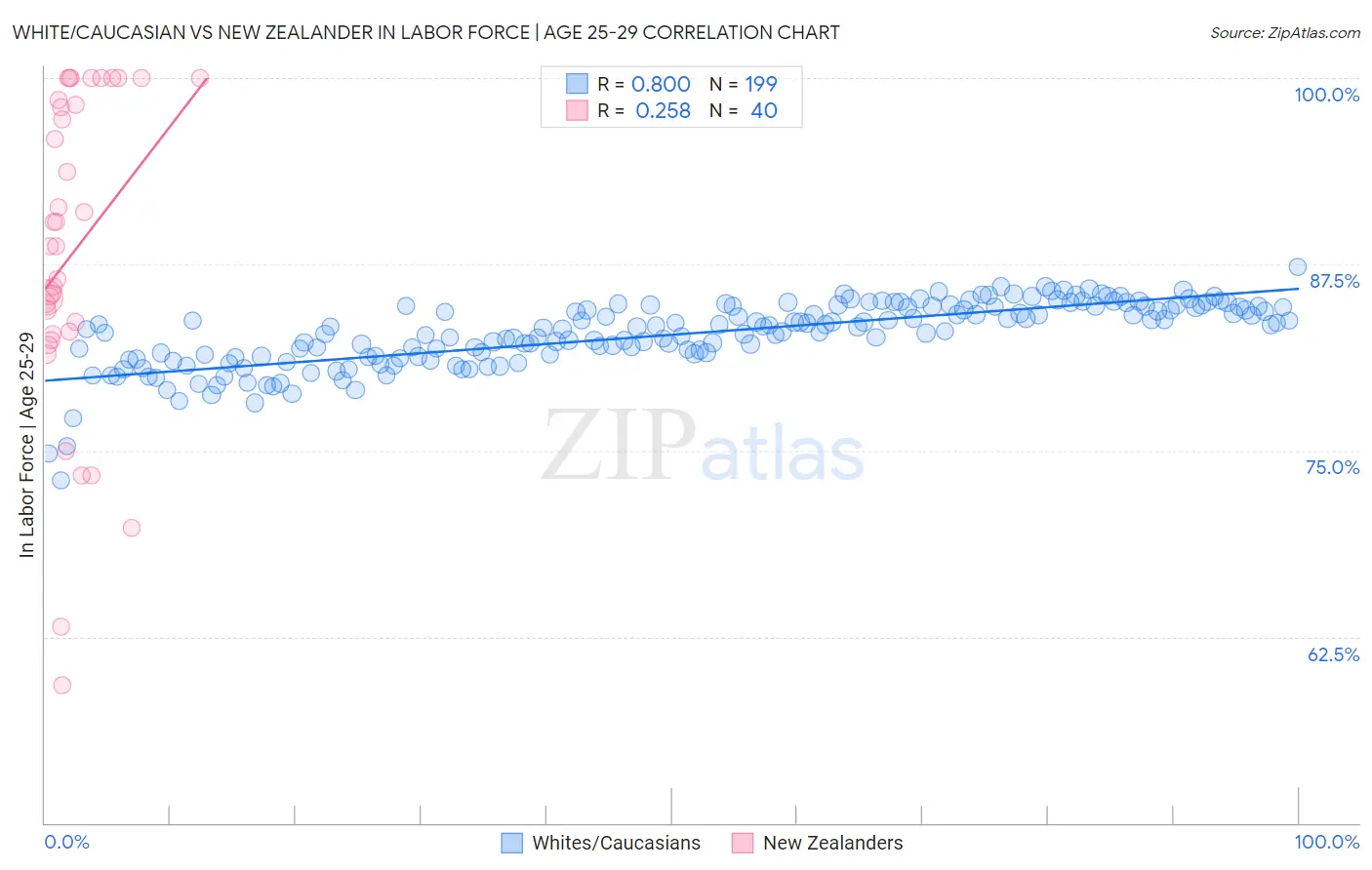 White/Caucasian vs New Zealander In Labor Force | Age 25-29