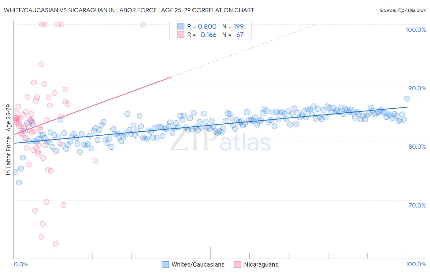 White/Caucasian vs Nicaraguan In Labor Force | Age 25-29