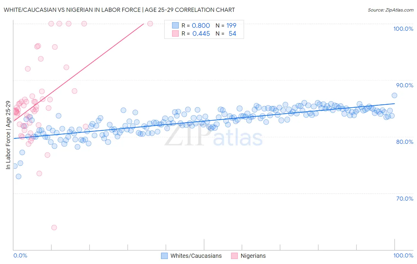 White/Caucasian vs Nigerian In Labor Force | Age 25-29