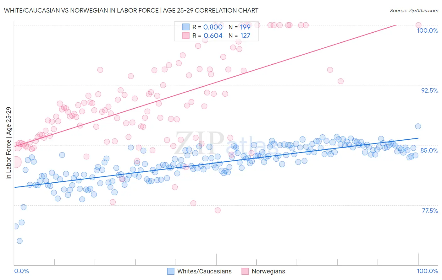 White/Caucasian vs Norwegian In Labor Force | Age 25-29