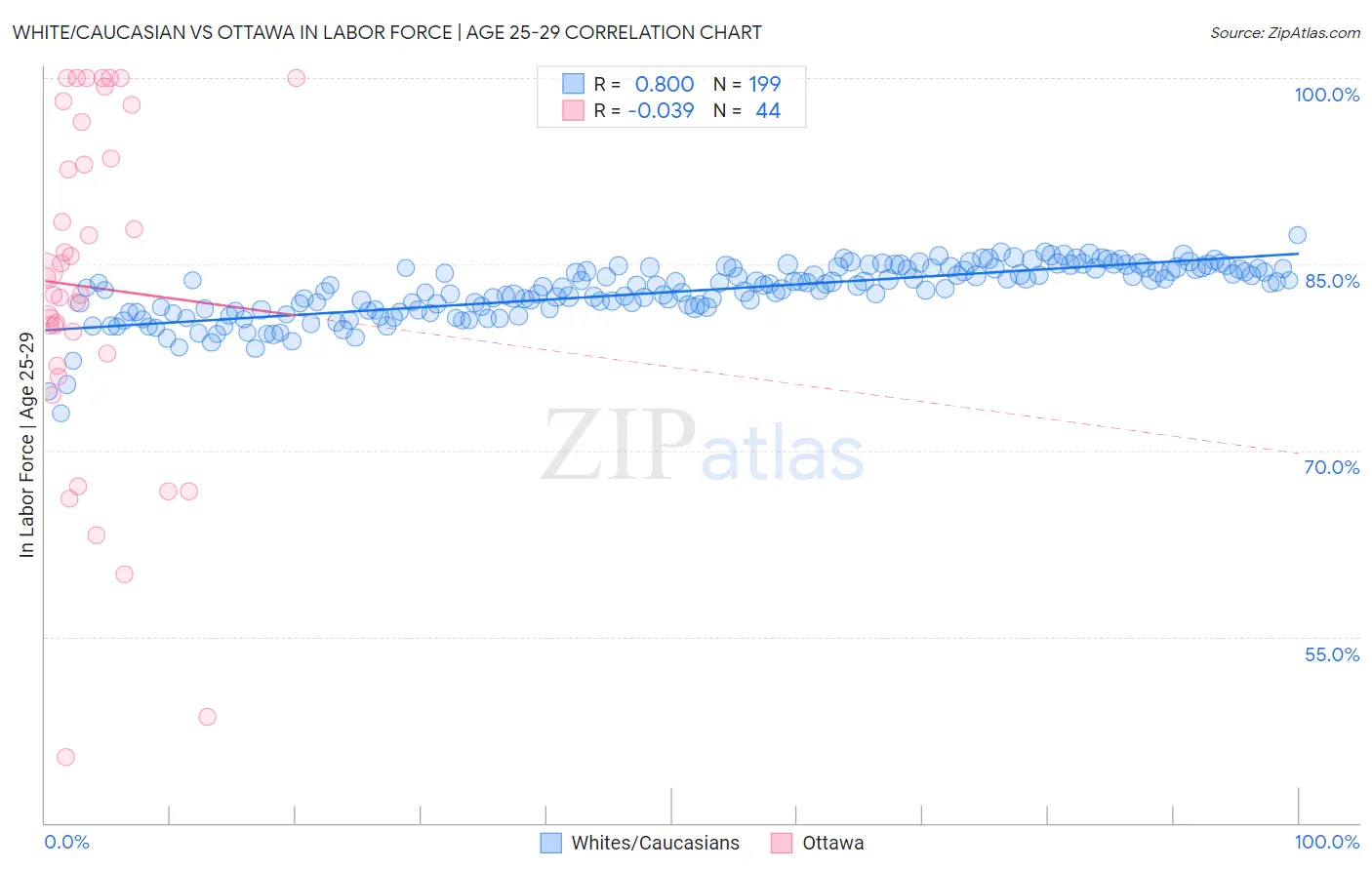 White/Caucasian vs Ottawa In Labor Force | Age 25-29