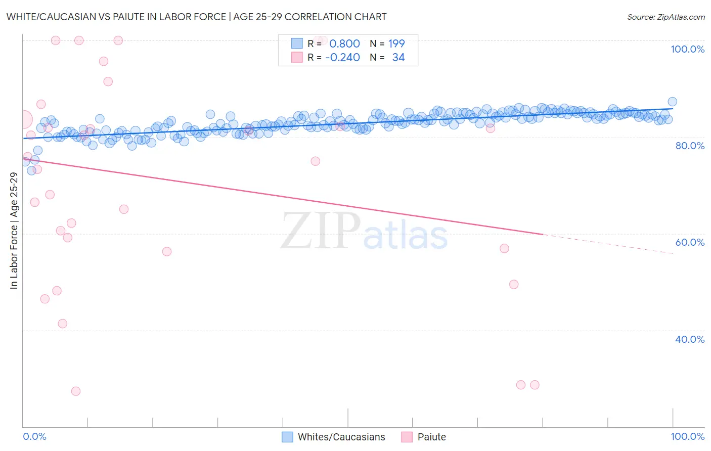 White/Caucasian vs Paiute In Labor Force | Age 25-29