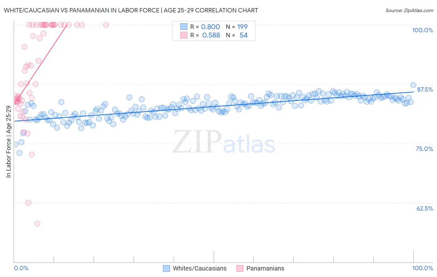 White/Caucasian vs Panamanian In Labor Force | Age 25-29