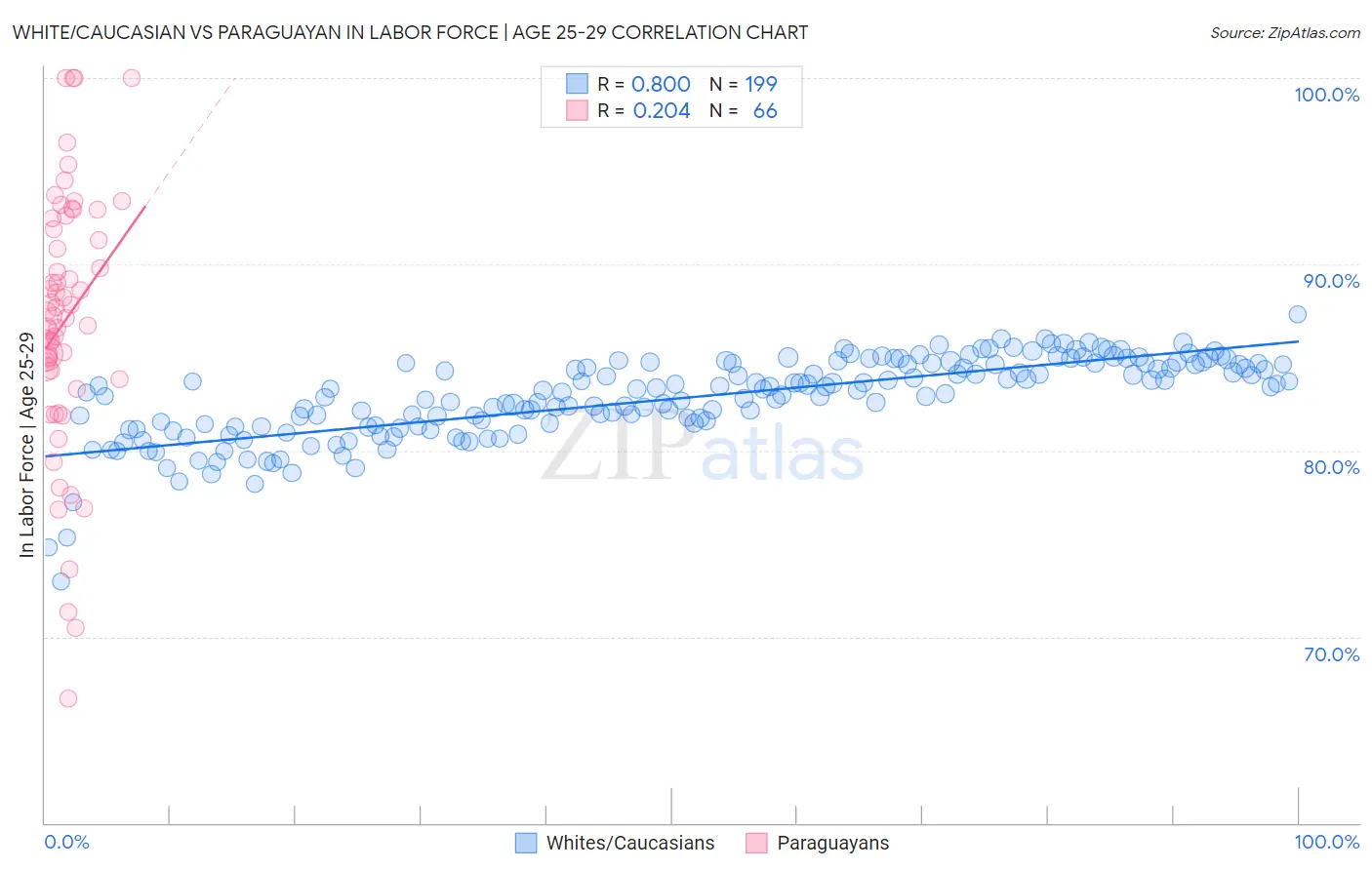 White/Caucasian vs Paraguayan In Labor Force | Age 25-29