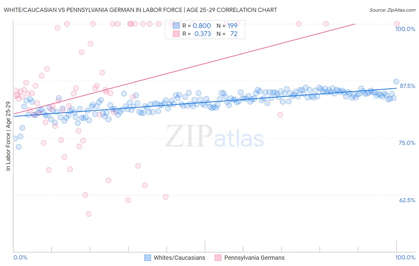 White/Caucasian vs Pennsylvania German In Labor Force | Age 25-29