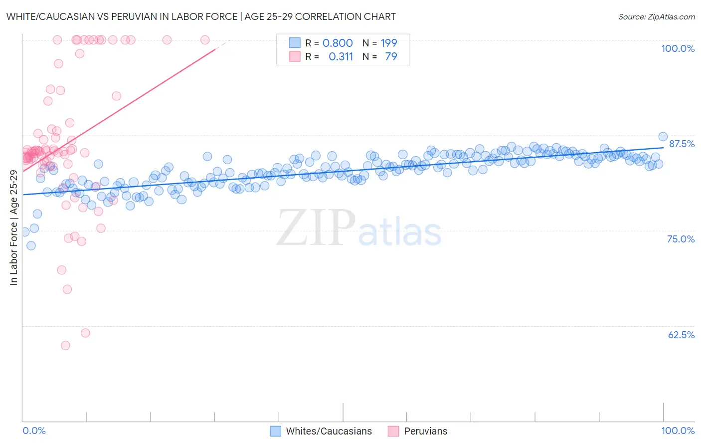 White/Caucasian vs Peruvian In Labor Force | Age 25-29