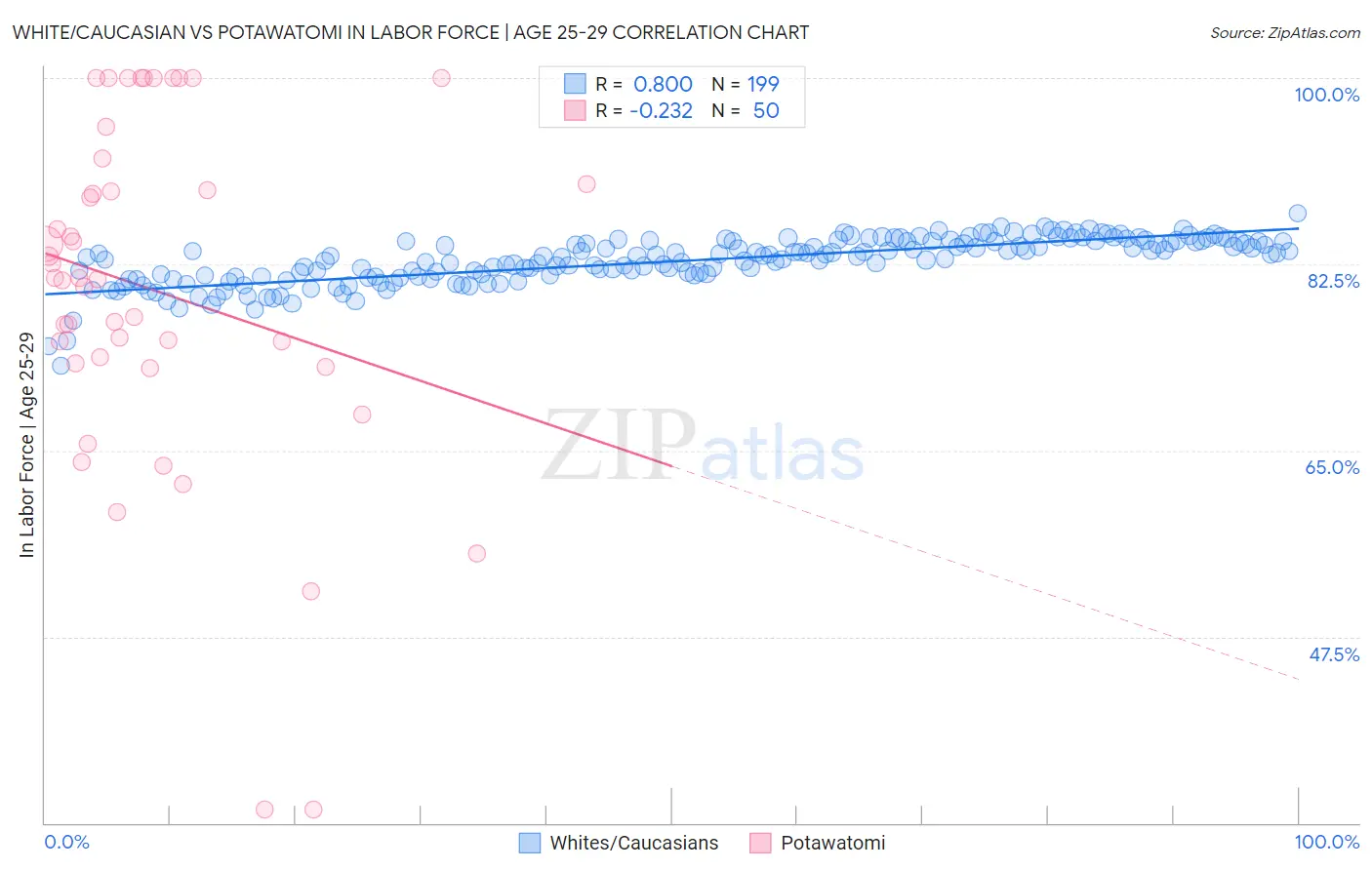 White/Caucasian vs Potawatomi In Labor Force | Age 25-29