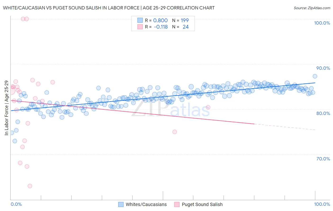 White/Caucasian vs Puget Sound Salish In Labor Force | Age 25-29