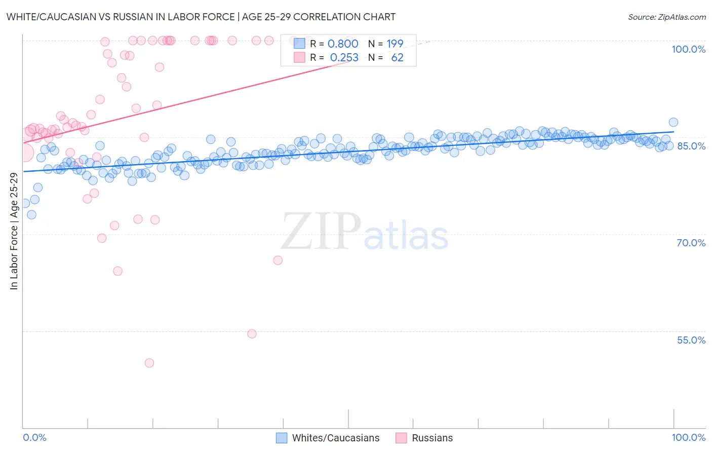 White/Caucasian vs Russian In Labor Force | Age 25-29