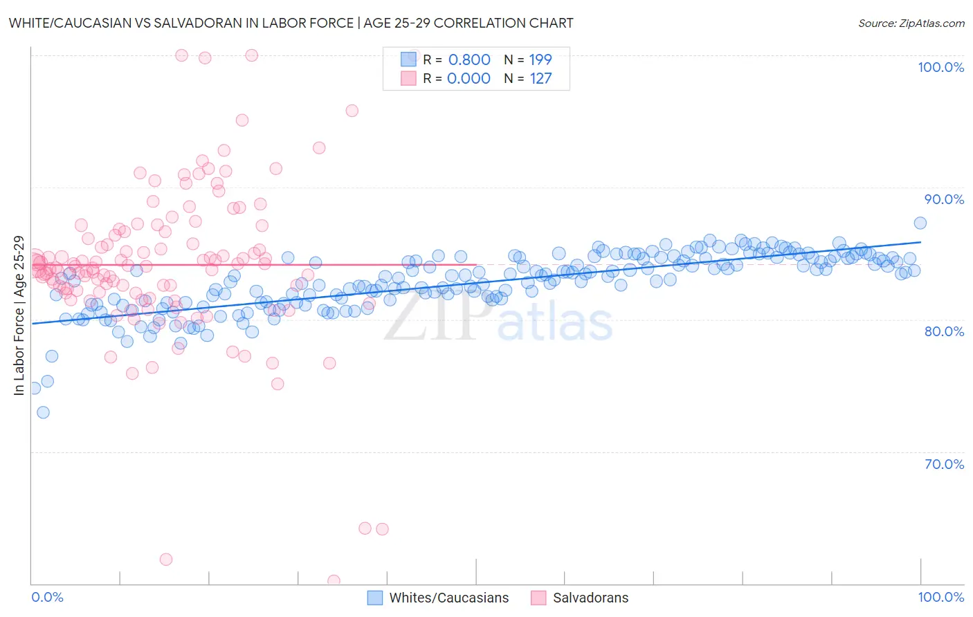 White/Caucasian vs Salvadoran In Labor Force | Age 25-29