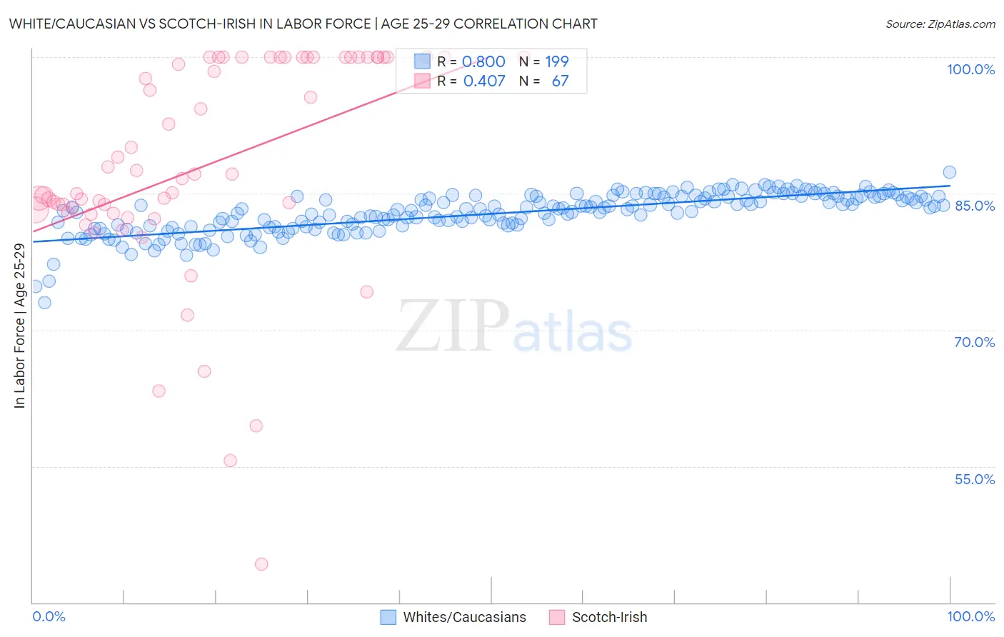 White/Caucasian vs Scotch-Irish In Labor Force | Age 25-29