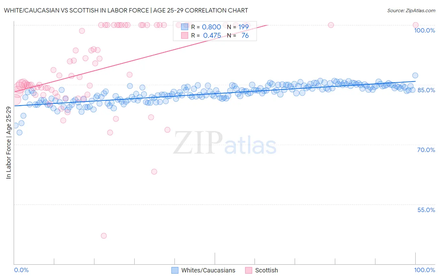 White/Caucasian vs Scottish In Labor Force | Age 25-29
