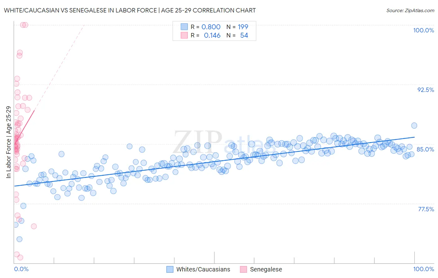 White/Caucasian vs Senegalese In Labor Force | Age 25-29