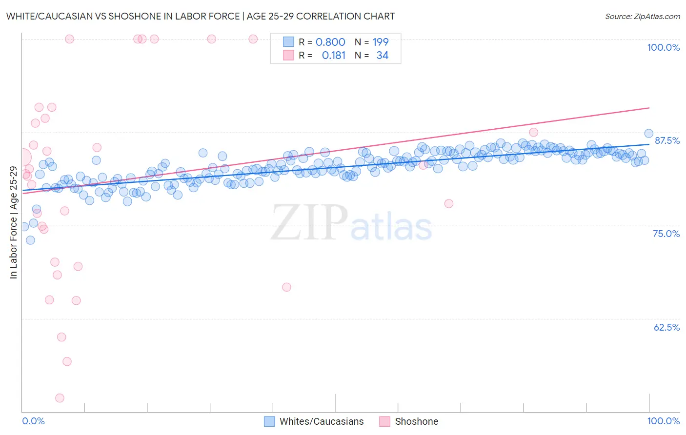 White/Caucasian vs Shoshone In Labor Force | Age 25-29