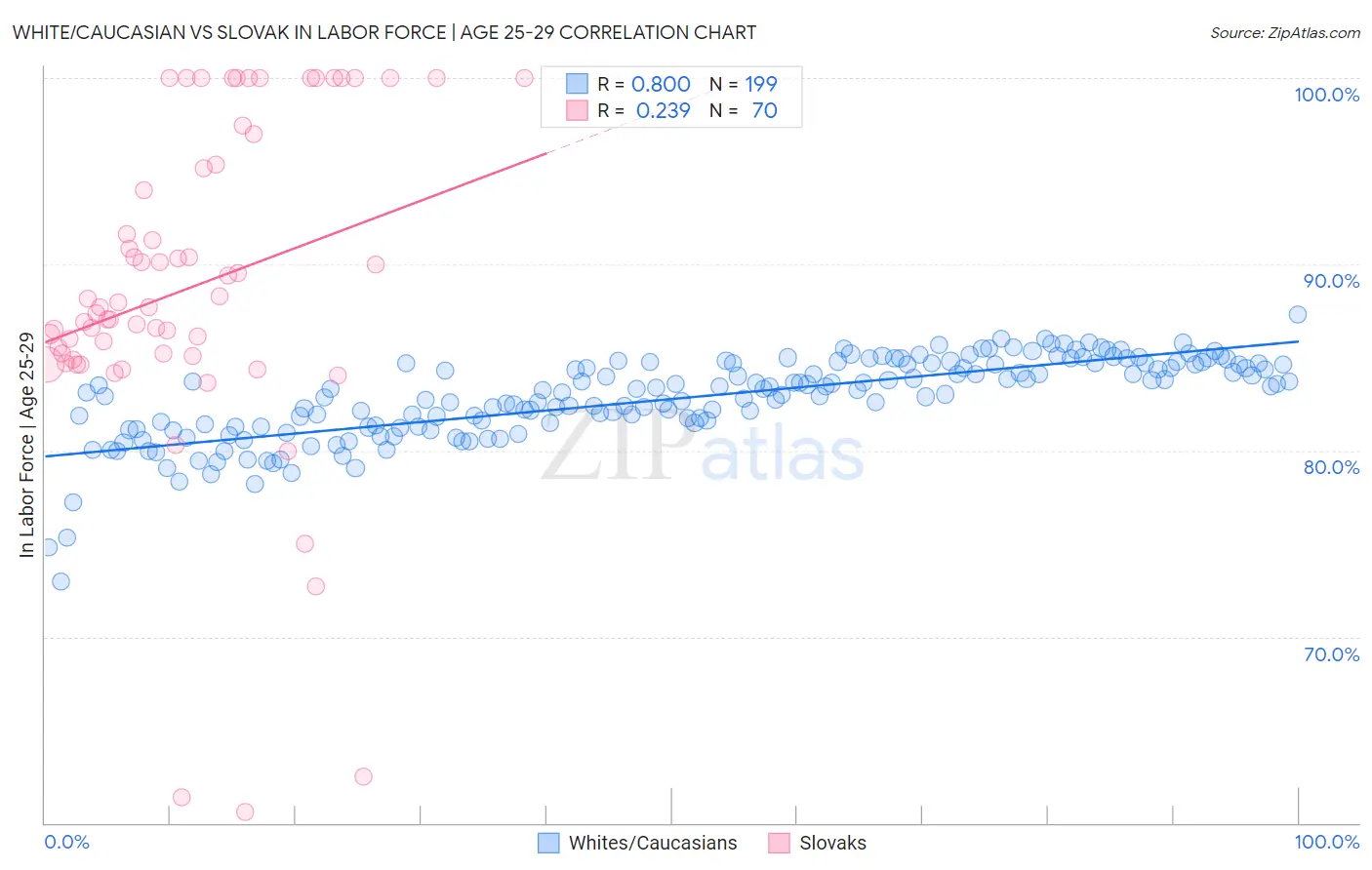 White/Caucasian vs Slovak In Labor Force | Age 25-29