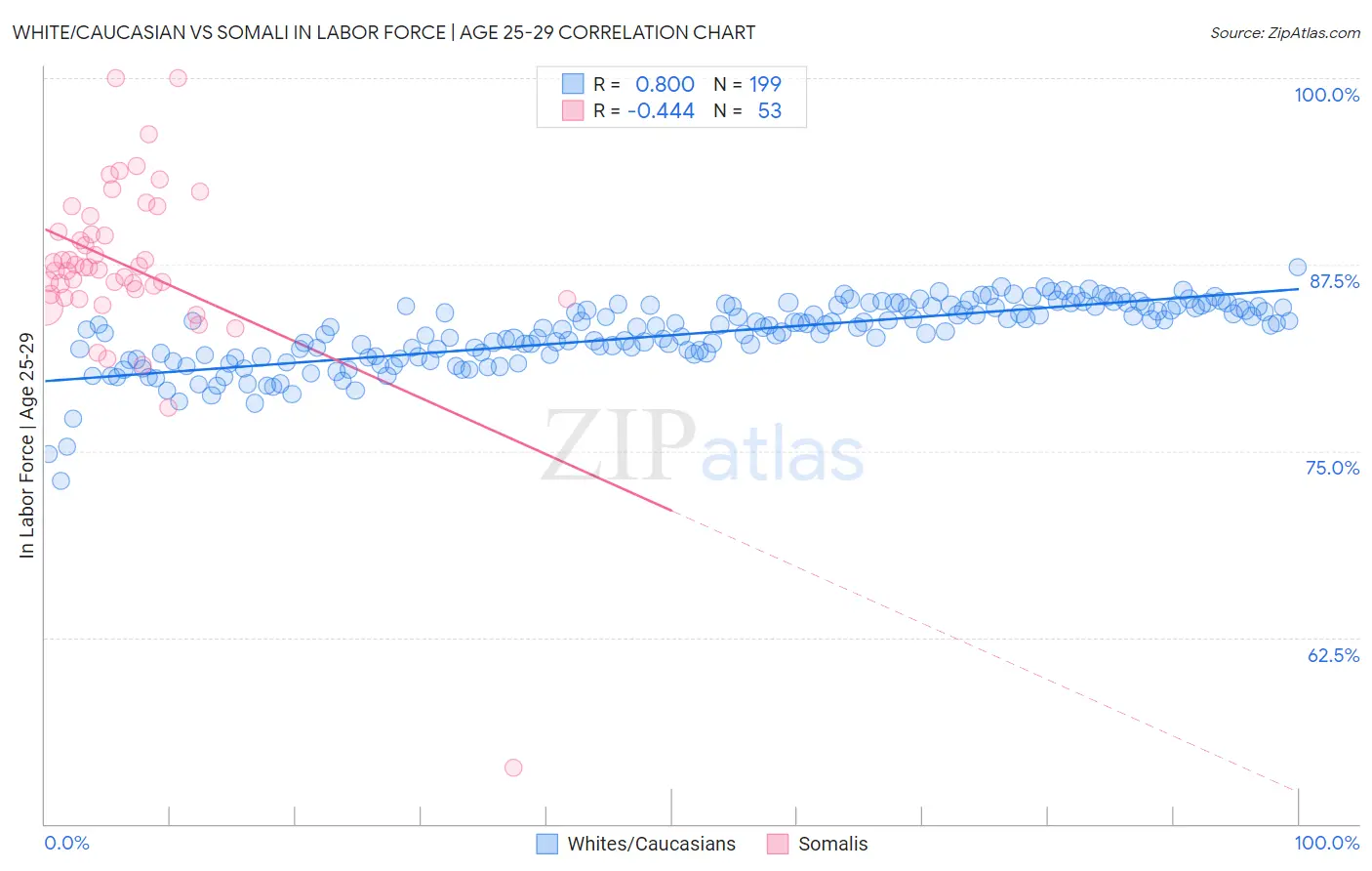 White/Caucasian vs Somali In Labor Force | Age 25-29