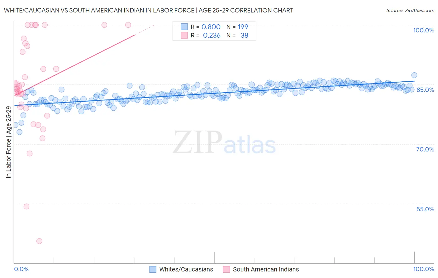 White/Caucasian vs South American Indian In Labor Force | Age 25-29