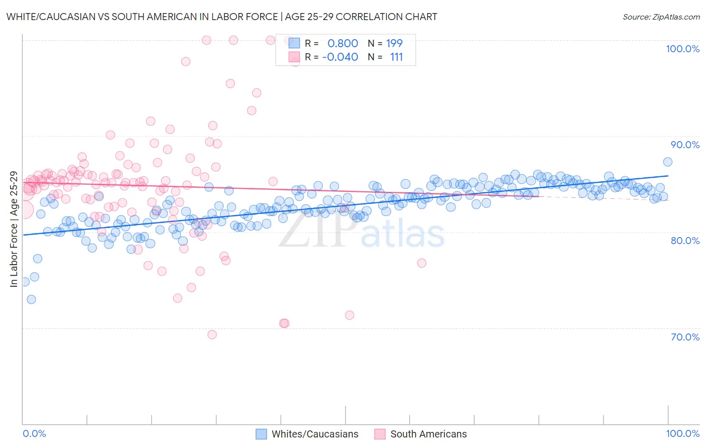 White/Caucasian vs South American In Labor Force | Age 25-29