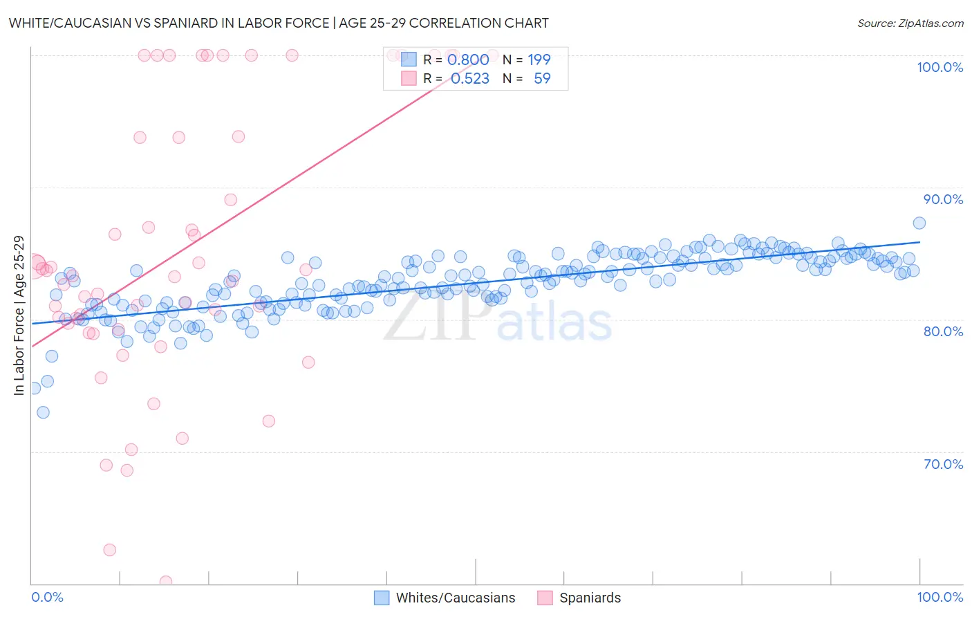 White/Caucasian vs Spaniard In Labor Force | Age 25-29