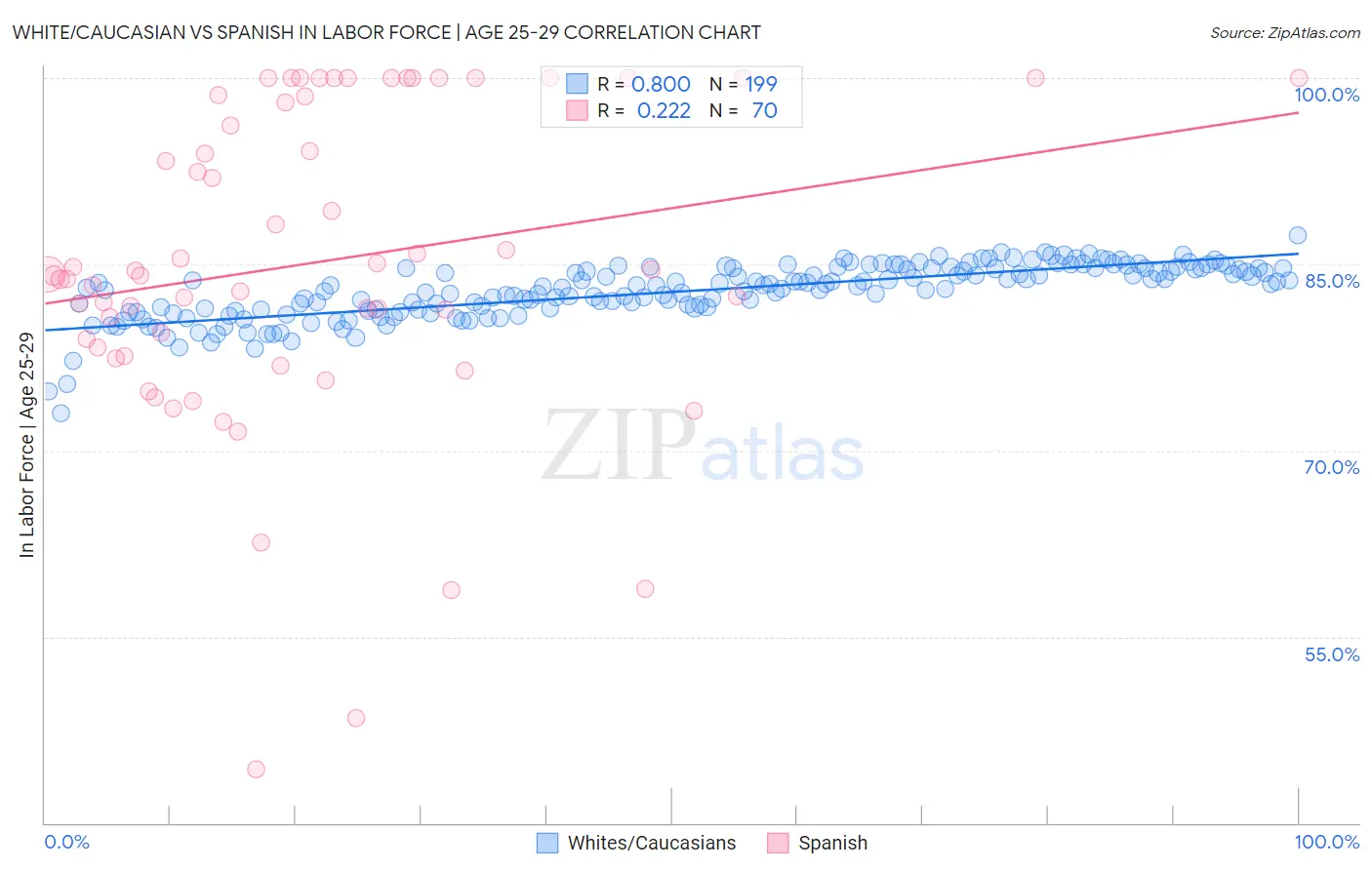 White/Caucasian vs Spanish In Labor Force | Age 25-29