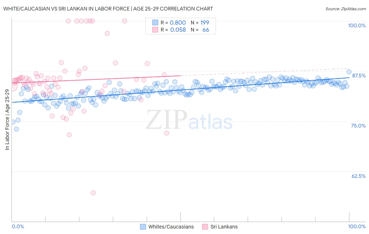 White/Caucasian vs Sri Lankan In Labor Force | Age 25-29