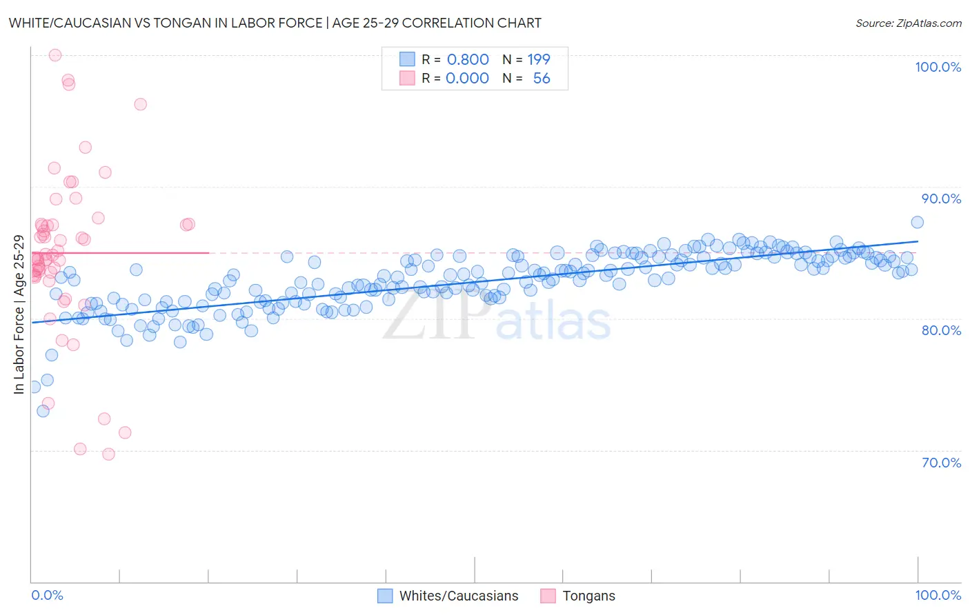 White/Caucasian vs Tongan In Labor Force | Age 25-29