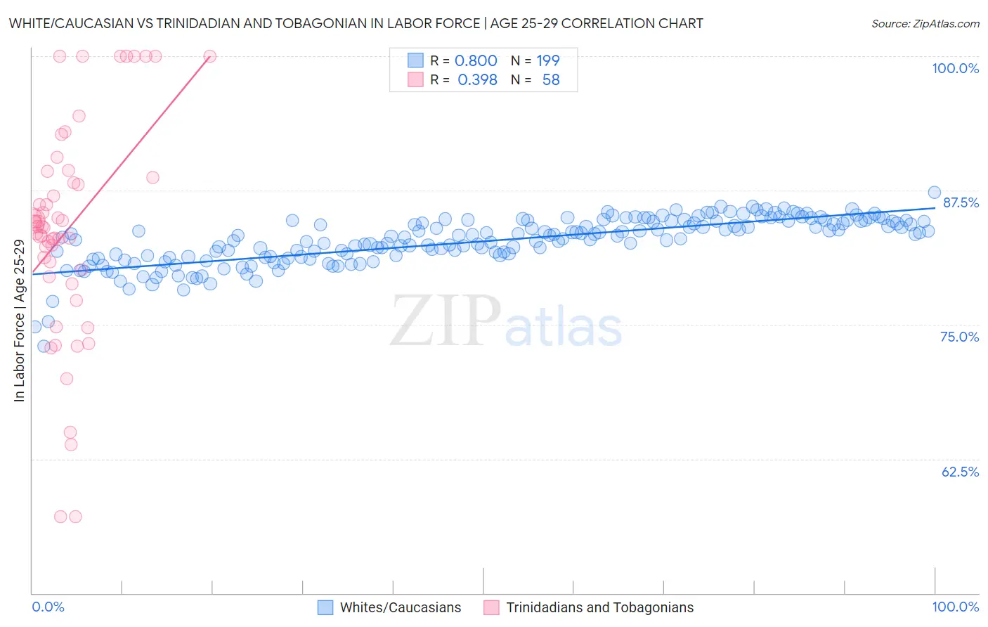 White/Caucasian vs Trinidadian and Tobagonian In Labor Force | Age 25-29